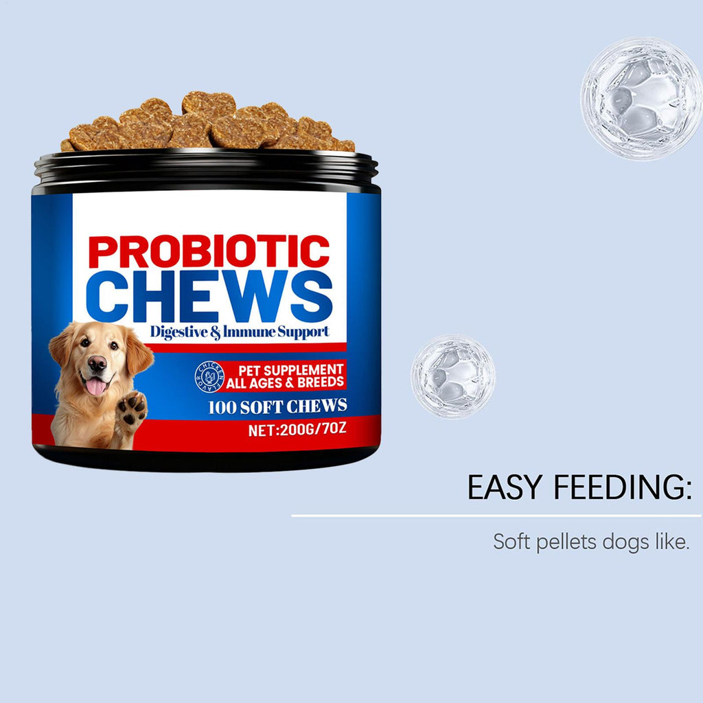 Dog Gut Health Supplement Healthy Natural Treats 200g Digestive Care Dog Supplements For After Meal Seasonal Changes Food