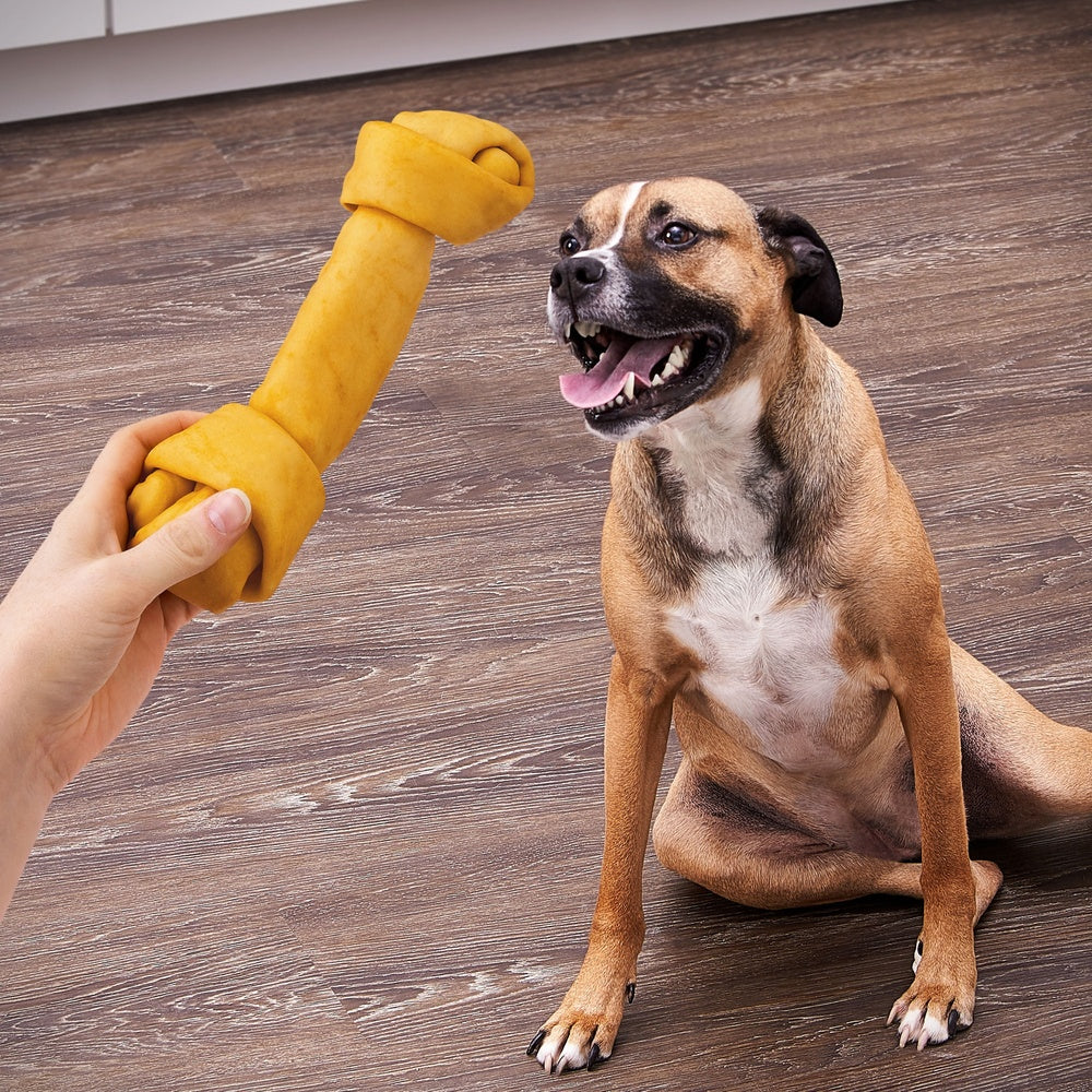Large Knotted Rawhide Bones Dogs Chicken Flavor Chews 9 Inch Long Lasting Non Toxic Beefhide 3 Count Dental Treats